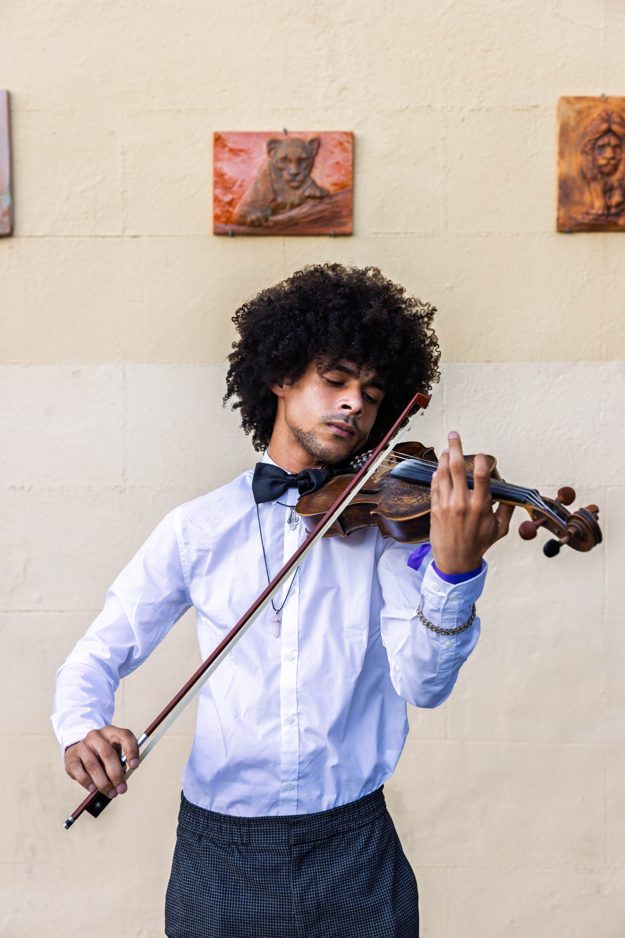Violinist performing at an African Society gathering